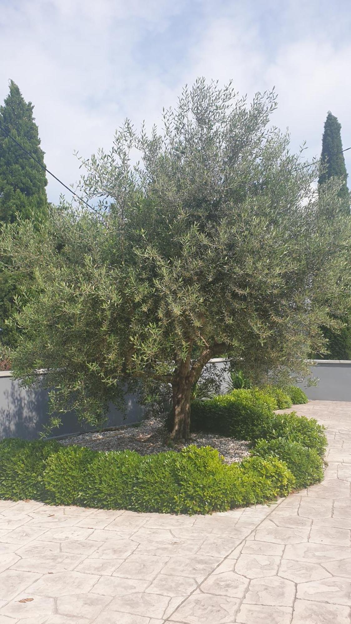 Apartma Pata Cezarji Bagian luar foto
